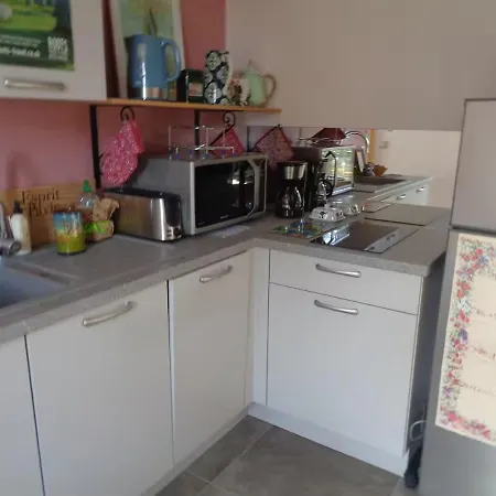 Ravissante Maison Au Calme à Proximité Du Puy En Velay Appartamento